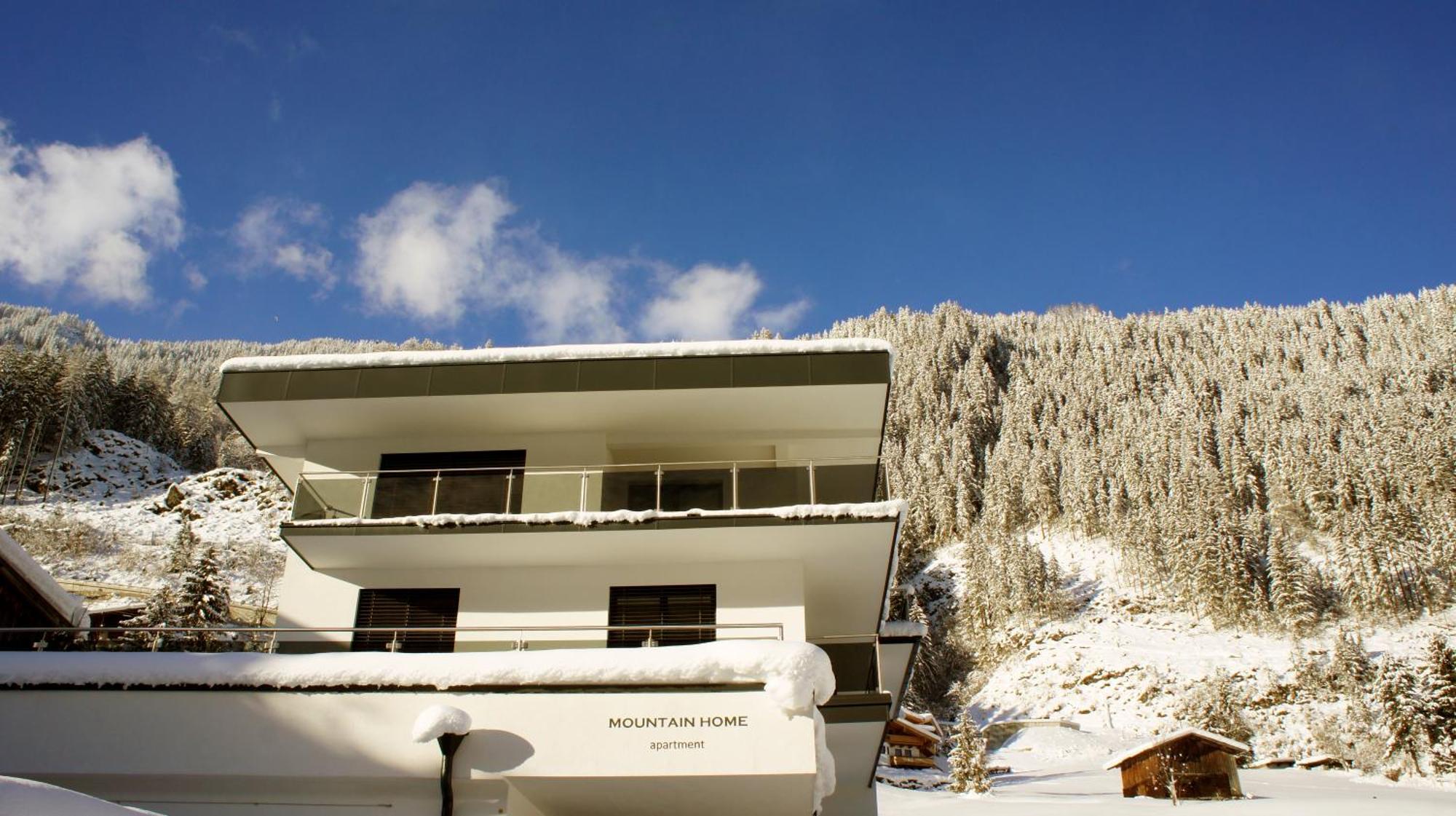 Mountain Home Apartment 弗林肯贝格 外观 照片